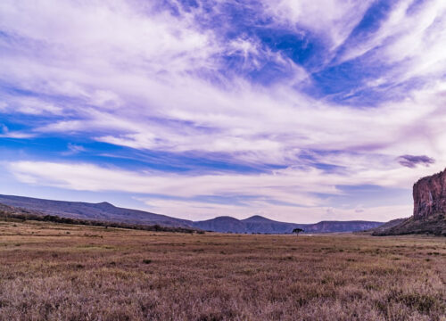 1 Day Hell’s Gate National Park Safari