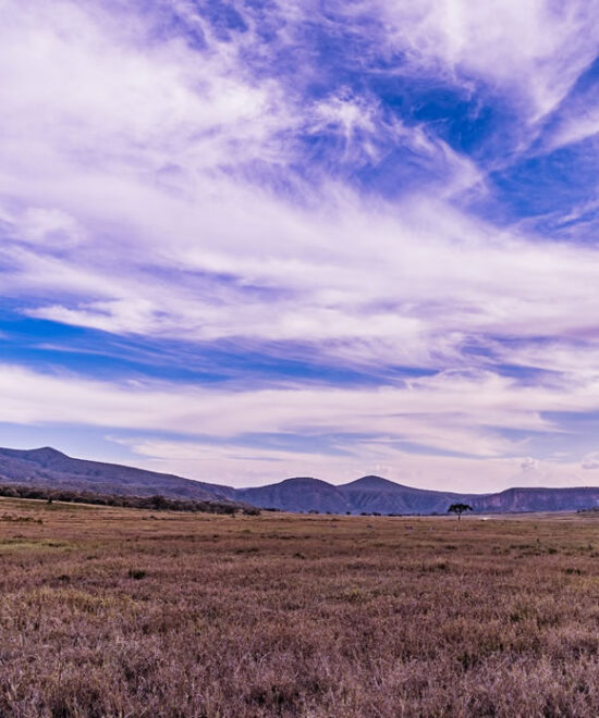 1 Day Hell’s Gate National Park Safari