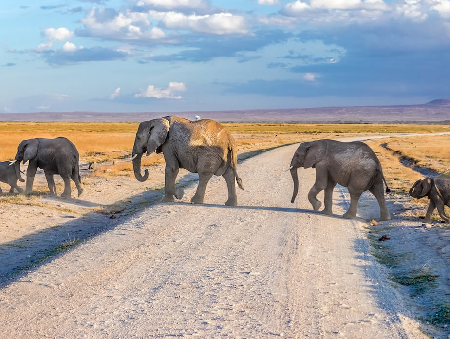 Amboseli National Park