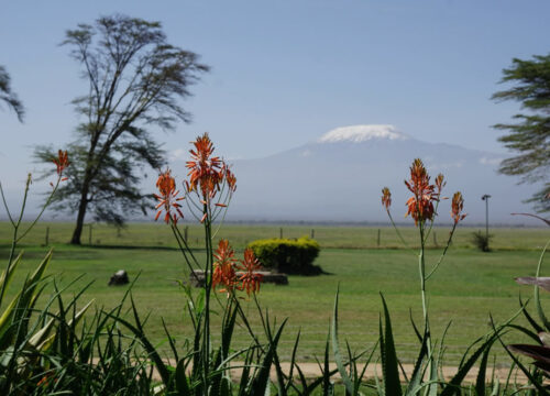 4 Days Kenya Safari - Amboseli National Park and Masai Mara National Reserve