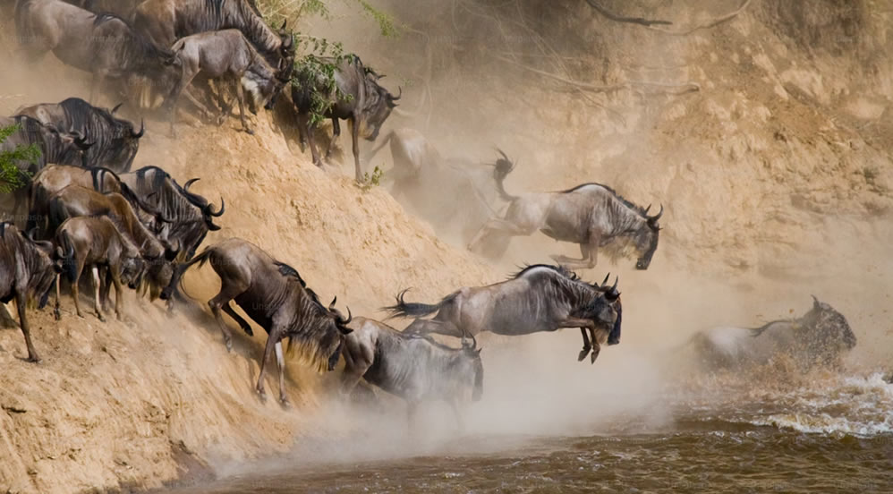 Maasai Mara National Reserve